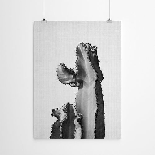 Downham Cactus on Grey 2 -...