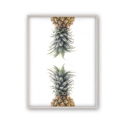 Pineapple No 1 Photograph