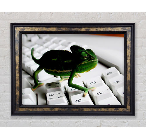 Lizard Keyboard - Single...