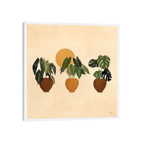 Houseplants I by Bria Nicole...