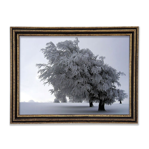 In The Dead Of Winter Framed...