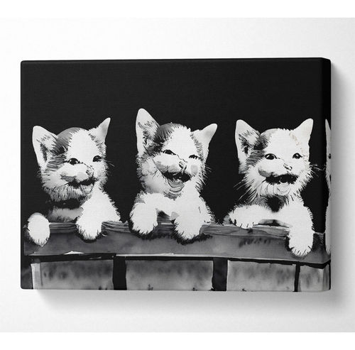 Laughing Kittens - Print