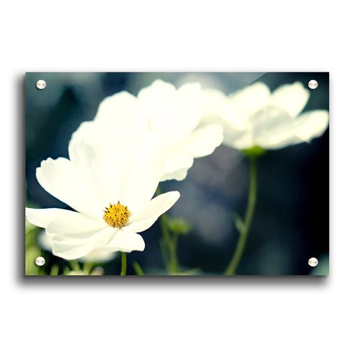 Lens Painting Flowers -...