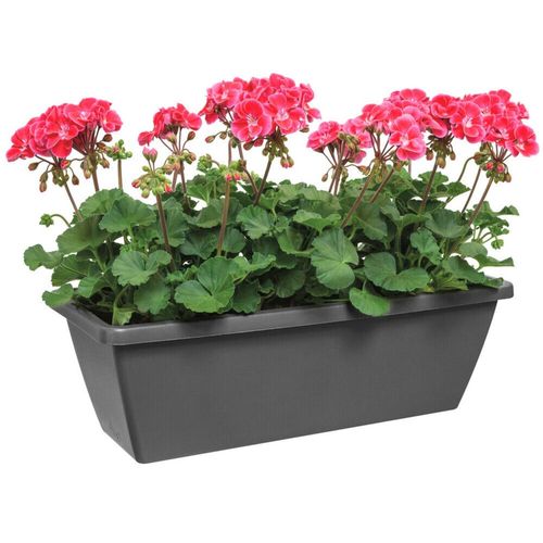 Elho 40Cm Black Trough...