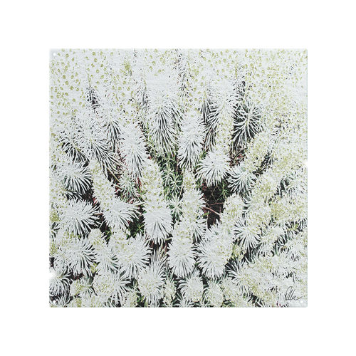 Beautifully Splash Back