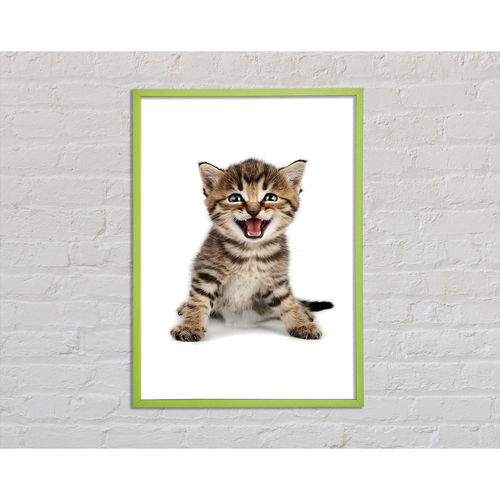 Cat Laugh - Print