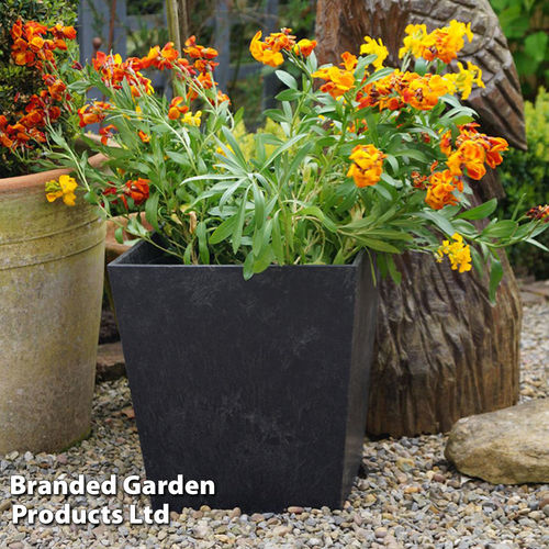 Bottomley Plant Pot 50cm (x2)