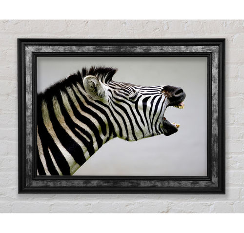 Laughing Zebra - Print