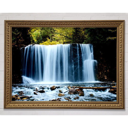 Waterfall Treetops - Print