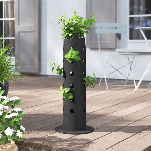 Plastic Plant Pot