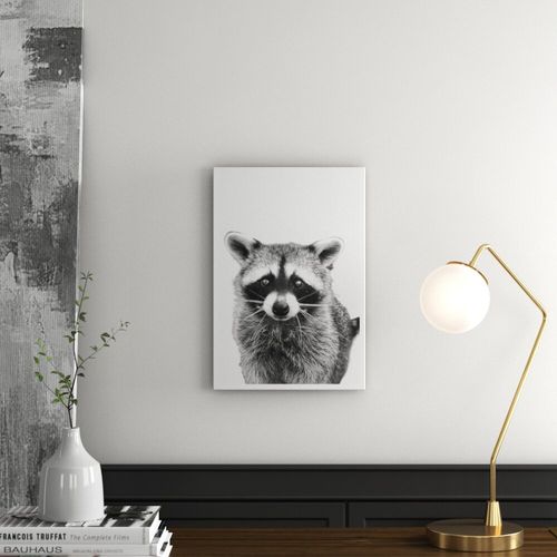 'Raccoon' Photographic Print