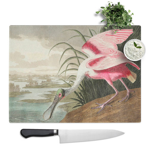 Roseate Spoonbill By Audubon ...