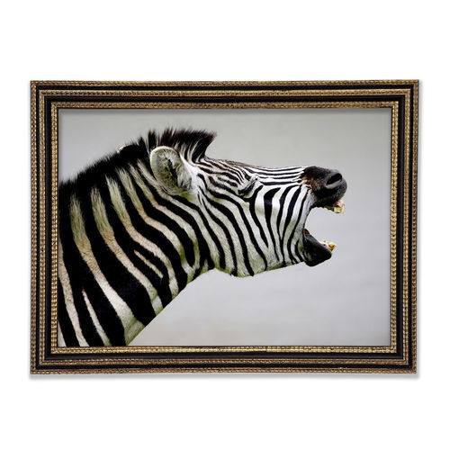 Laughing Zebra - Print