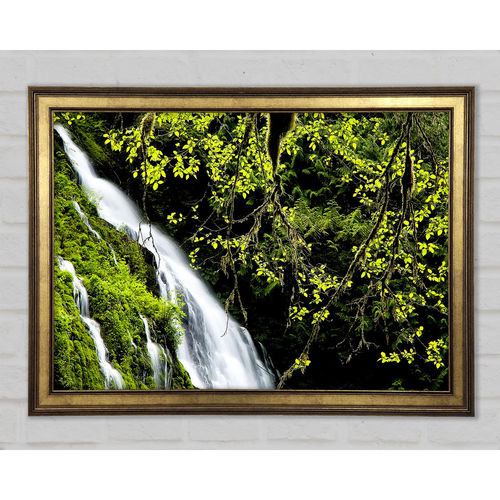 Mountain Waterfall - Print