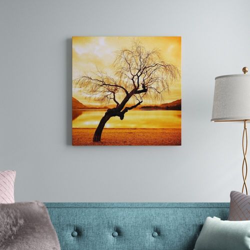 'Albero' Photographic Print