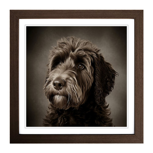 Labradoodle Photograph No.1 -...