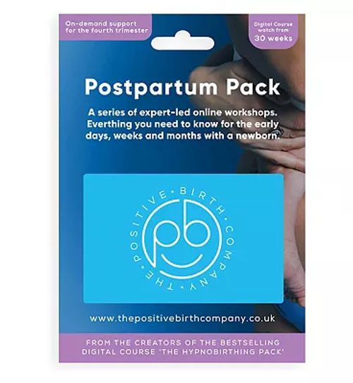 FridaMom Boyshort Disposable Postpartum Underwear (8 Pack)