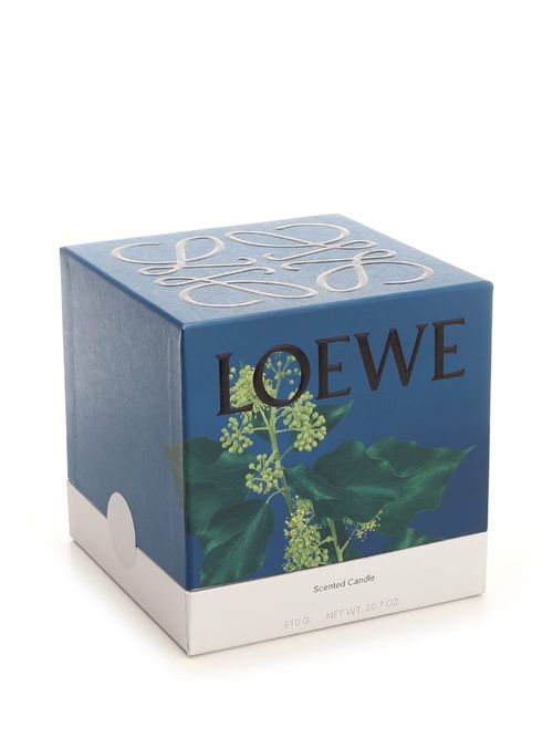 Loewe Pink Ivy Essence...