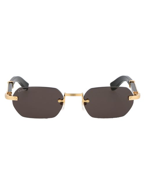 Cartier Eyewear Ct0362S...