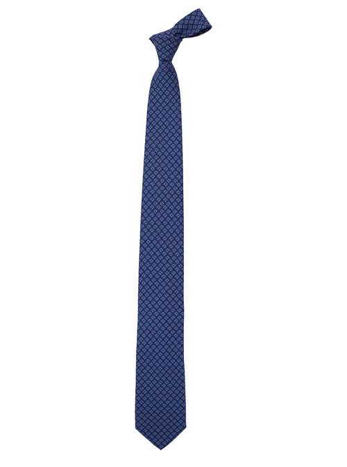 Ferragamo Blue Tie With...