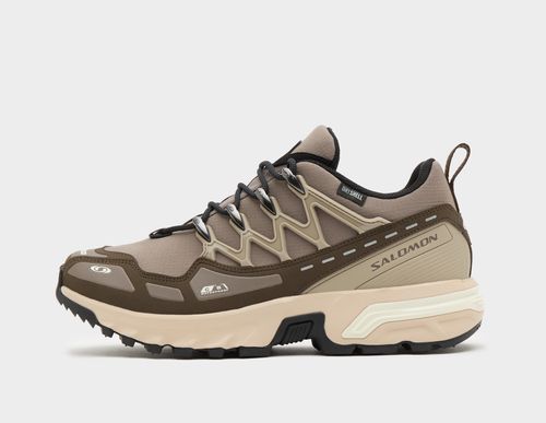 Salomon ACS+, Brown