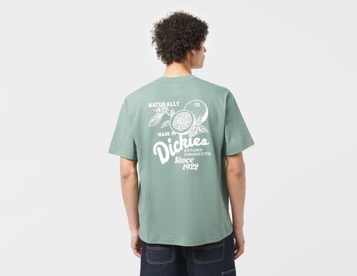 Dickies Raven T-Shirt, Green