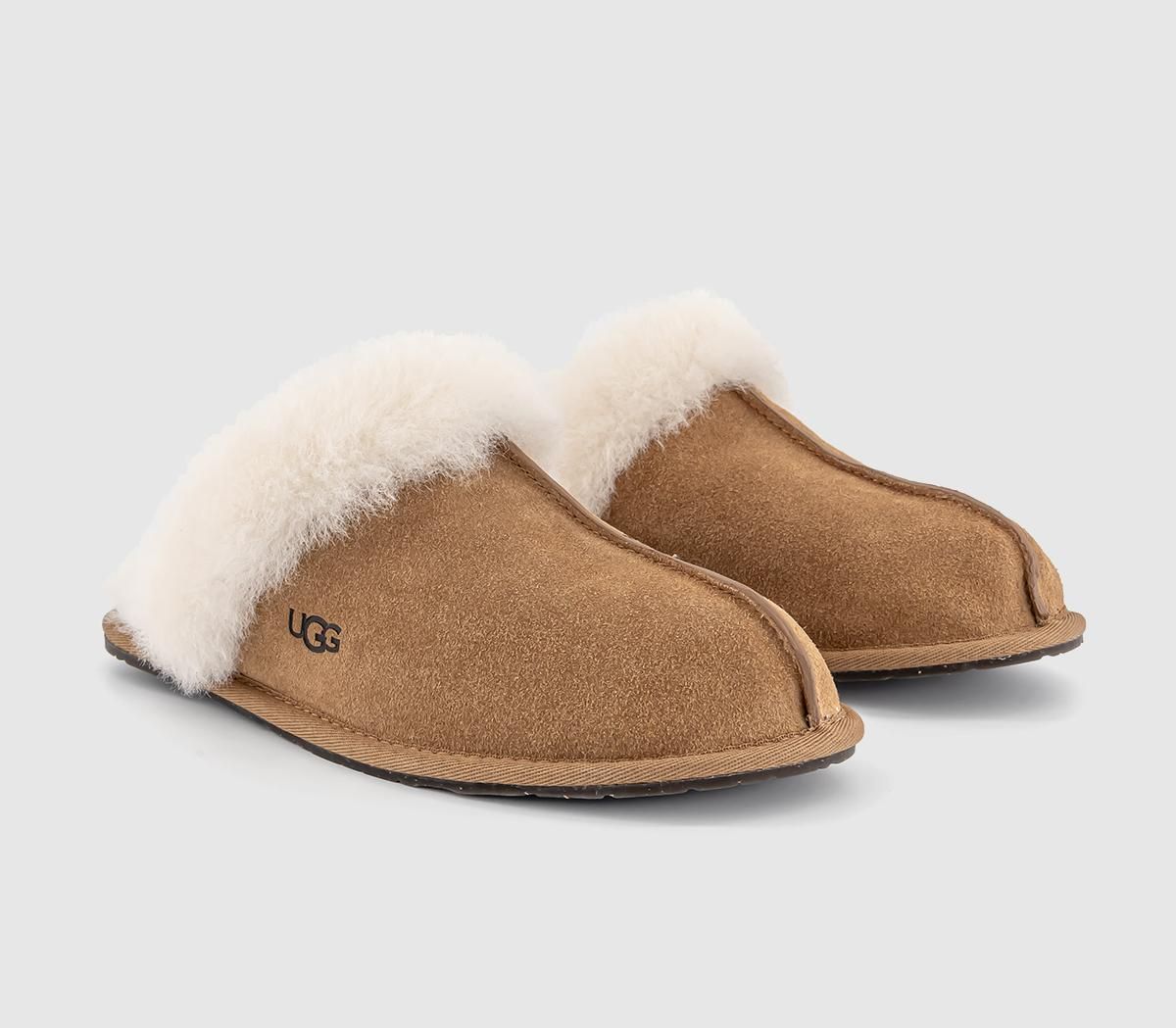 Ugg scuffette store slippers office