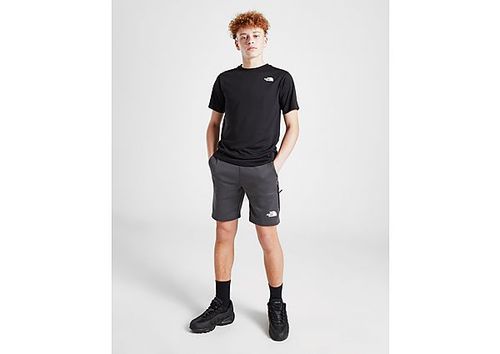 The North Face Tek Shorts...