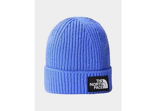 The North Face Logo Beanie...