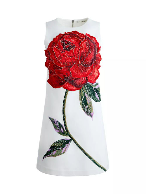 Clyde Embellished Rose Shift...