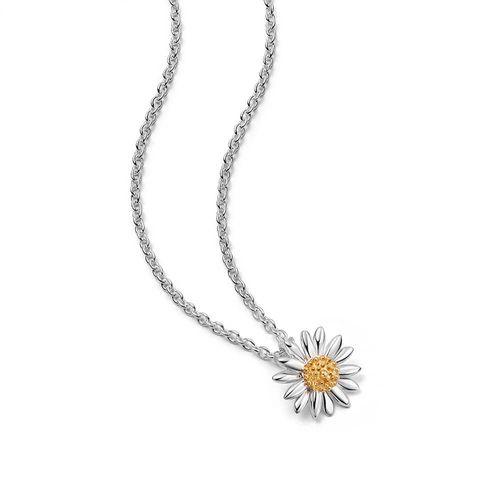 English Daisy Necklace...