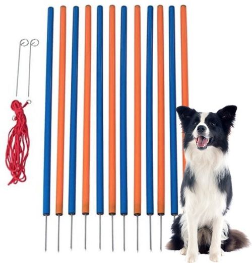 Agility für Hundeslalom Set...