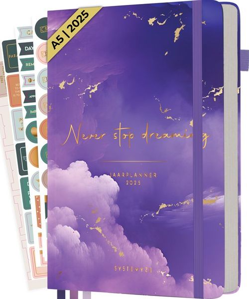 Systemyze Agenda 2025...