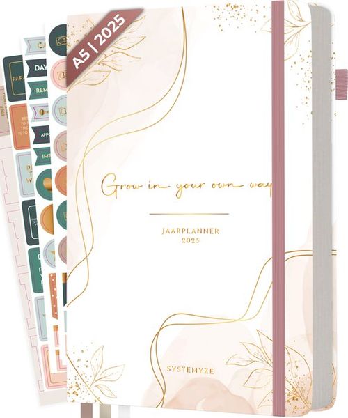 Systemyze Agenda 2025...