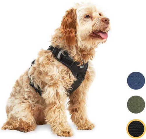 Jake und Jacky Hundegeschirr...