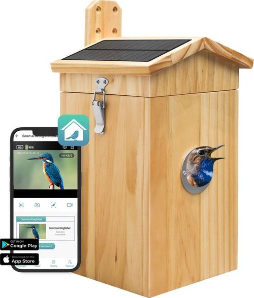 Vogelhaus mit Kamera und...