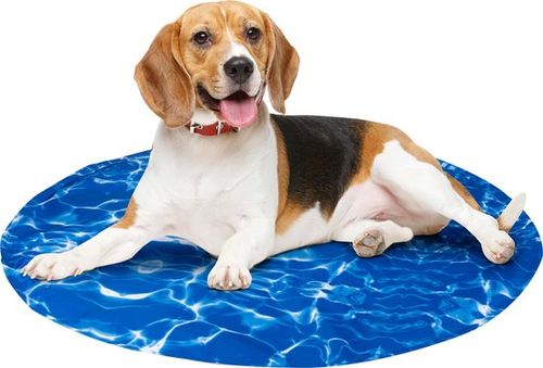 maxxpro Kühlmatte für Tiere -...