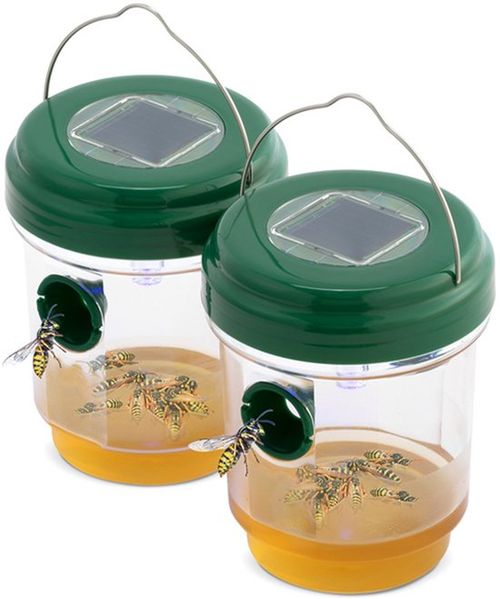 Hortensus - Set mit 2...