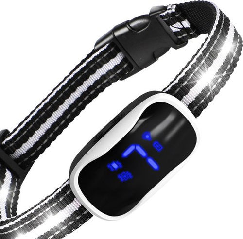 Anti-Bell-Halsband Pro mit...