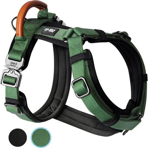 Jake und Jacky Hundegeschirr...