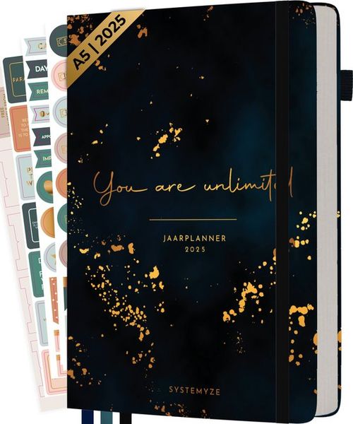 Systemyze Agenda 2025...