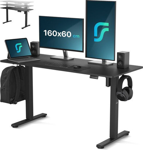 Flowsense Sit Stand Desk -...