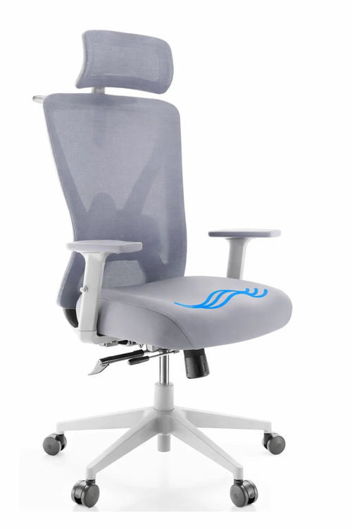 Backerz Ergonomischer Bürostuhl - Verstellbar - 3D Armlehnen - Kopfstütze - Weiß/Grau