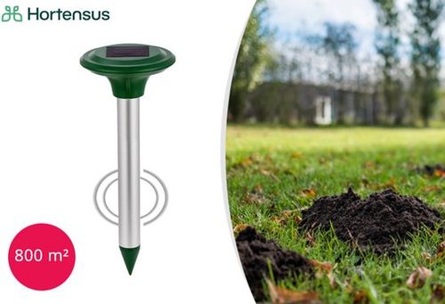 Hortensus - Solare...