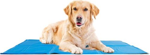 909 Outdoor-Kühlmatte für...