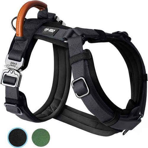 Jake und Jacky Hundegeschirr...