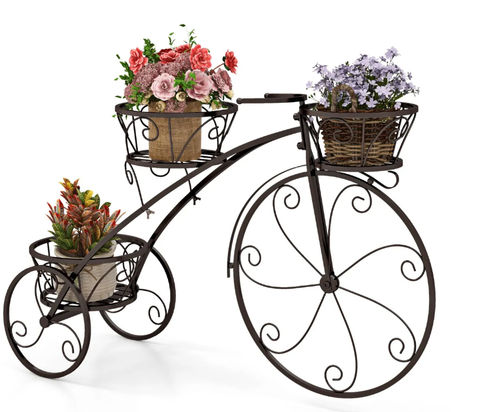 Coast Dreirädriger...