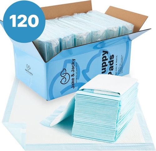 Jake and Jacky Puppy Training...