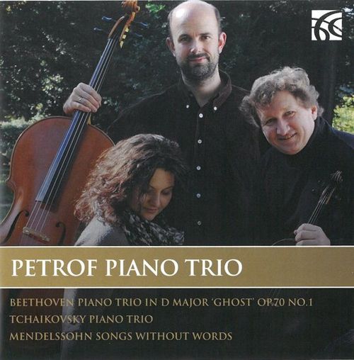 Petrof Piano Trio -...