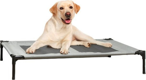 maxxpro Hundebett auf Beinen...